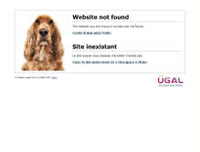 Tablet Screenshot of in-octavo.ugal.com