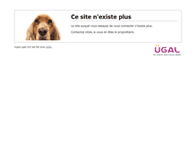 Tablet Screenshot of mgws.ugal.com