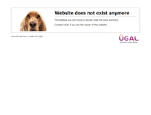Tablet Screenshot of ipconsult.ugal.com